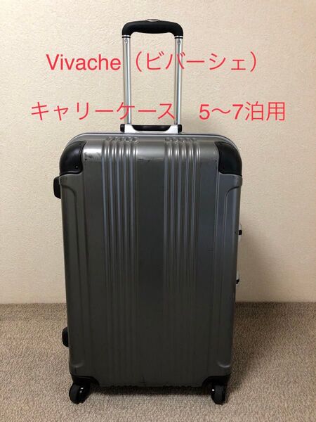 Vivache(ビバーシェ)キャリーケース スーツケース グレー