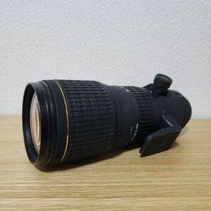 シグマ SIGMA APO 100-300㎜ F4 DG EX キャノン