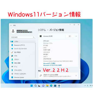 Windows11 Ver22H2 クリーンインストール＆アップグレード両対応DVD 低年式パソコン対応 (64bit日本語版)の画像2