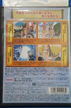 98_05979 ONE PIECE ワンピース １stシーズン R-5_画像2