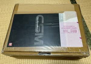 CSMファイズギア 新品未開封品　送料込