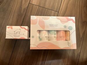 値下げ　シューズシャンプー ブラシ ROSY LILY 靴 洗濯 洗剤 セット