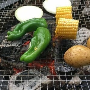 訳あり新品！【まとめ売り10枚セット】BBQ 焼き網 30cm×40cm (管理番号No-@ アウトドア）の画像3