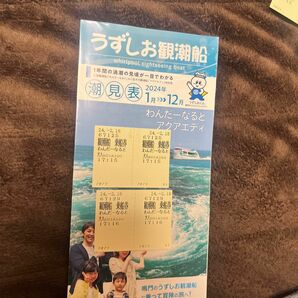 うずしお観潮船 わんだーなると乗船券　うずしお観潮船 わんだーなると乗船券大人　わんだーなると有効期限なし