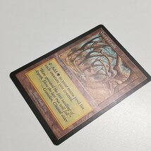 sB404s [人気] MTG ガイアの揺籃の地 Gaea's Cradle ウルザズ・サーガ USG 英語版_画像3