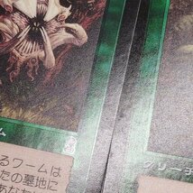 sD920q [まとめ] MTG 緑 Foil 計50枚 クウィリーオンのドライアド 深き闇のエルフ 最後に訪れしもの、亜楡身 現地調査 他_画像9