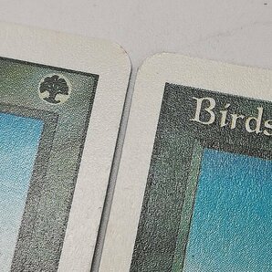 sD962o [人気] MTG 極楽鳥 Birds of Paradise 第3版 3ED 第4版 4ED 英語版 2枚 日本語版 2枚 計4枚の画像7