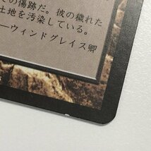 sA283o [人気] MTG ヨーグモスの墳墓、アーボーグ Urborg Tomb of Yawgmoth 次元の混乱 PLC 土地 R レア 日本語版 英語版 計2枚_画像7