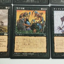 sC646o [まとめ] MTG 黒 レア 計6枚 Vampiric Tutor 憎悪 繰り返す悪夢 Contamination 生ける屍 ファイレクシアの抹殺者_画像7