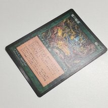 sB535o [人気] MTG 魔の魅惑 Aluren テンペスト TMP 日本語版 計2枚_画像4