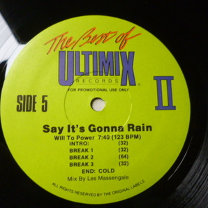 Vanessa Williams / The Right Stuff 激アッパーレアULTIMIX 12EP Will To Power / They Say It's Gonna Rain 収録 試聴の画像3