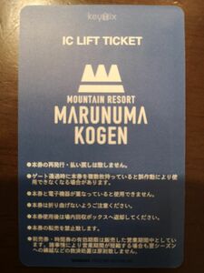 即日ネコポス発送　丸沼高原スキー場　リフト１日券　リフト券リフト券