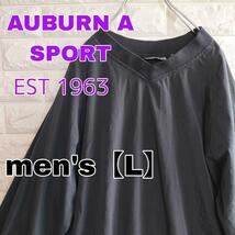 A903【AUBURN A SPORT】プルオーバー Vネック 長袖【メンズL_画像1