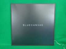 BLUECANVAS　デジタルサイネージディスプレイ　Digital signage Display 26.5inch　ブルーキャンバス_画像1