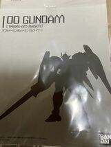 中古品 METAL BUILD ダブルオーガンダム（トランザムライザー） 魂ネイション2011限定 ダブルオー　トランザム_画像7