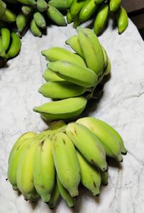 入手困難！！キングオブバナナ！農薬不使用！！沖縄産ナムワバナナおまかせコンパクトでお届け！！