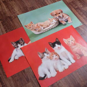 猫／昭和レトロ／ポスター／B2／70年代／赤赤緑