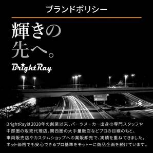 送料無料 1年保証 日産 エルグランド E52 前期 (H22.8-H25.12) 純正HID用 BrightRay D2S LED ヘッドライト 車検対応の画像10