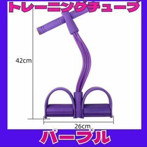 新品　パープル　紫　トレーニングチューブ　筋トレチューブ　エクササイズ　ダイエット　運動　トレーニング　