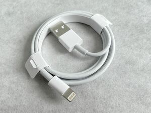 純正品 iPhone ipad 充電器 ライトニングケーブル lightningケーブル　USB Apple Lightningケーブル 