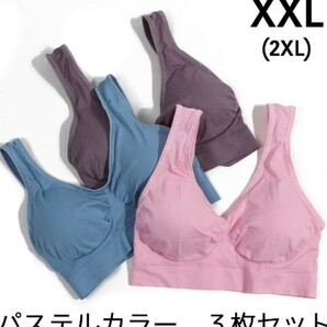 ジニエブラ パステルカラー XXL 3枚 セット スポーツブラ ナイトブラ マタニティー 授乳 育乳 genie bra ブラジャー インナーウェア A