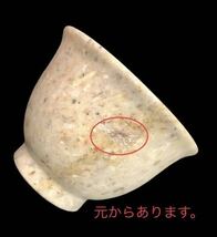 D２1　貝化石　煎茶器　湯呑　共箱　木箱_画像8