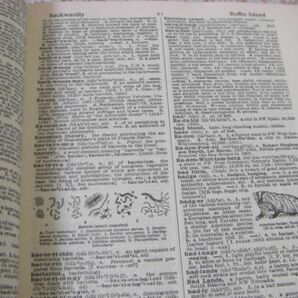 辞書洋書 4冊 A Dictionary of Slang、Pronouncing Dictionary of Proper Names、American College Dictionary 他 C9の画像10