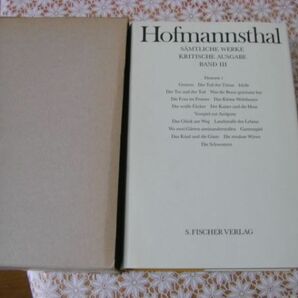 洋書 Hugo von Hofmannsthal Samtliche Werke 23冊 フーゴ・フォン・ホーフマンスタール全集 C7の画像7