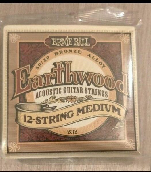ERNIE BALL Earthwood 12-String MEDIUM 
