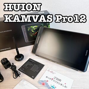 HUION 液タブ 液晶ペンタブレット Kamvas Pro12