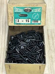 ALPS ”SOCKET SET SCREWS・3×15” 約400g