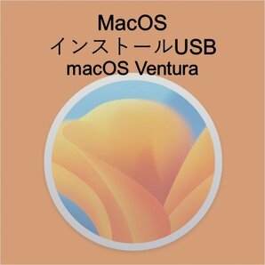 (v13) macOS Venturaインストール用USB [2]の画像1