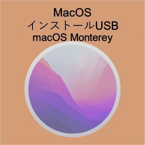 (v12) macOS Montereyインストール用USB [2]の画像1