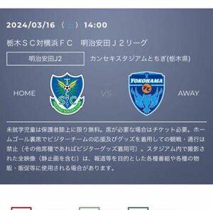 1円スタート 3/16(土) J2 栃木SC VS 横浜FC バック自由席 1枚