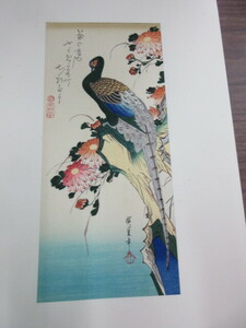 複製版画　手摺木版画　歌川廣重　花鳥風月　『菊に雉子』　1枚　彩色木版刷　錦絵　悠々洞出版　前田謙太郎・彫　短冊