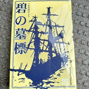 『碧の墓標』長編歴史小説