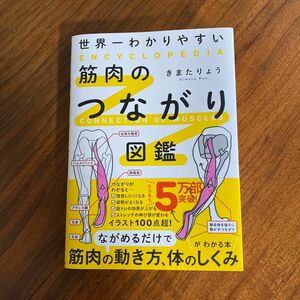 世界一わかりやすい筋肉のつながり図鑑 きまたりょう／著