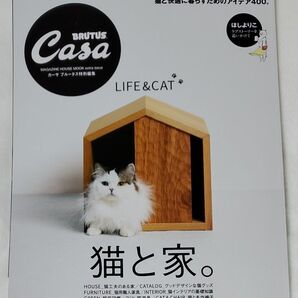 猫と家。