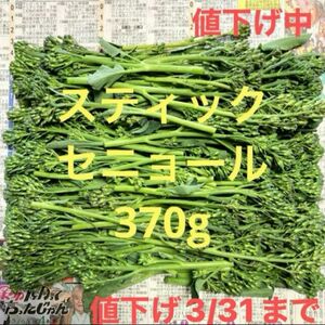 スティックセニョール370g