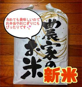 令和5年　秋田県産　新米あきたこまち　10kg 1等米