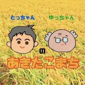 令和5年 秋田県産 新米あきたこまち 10kg 1等米の画像3