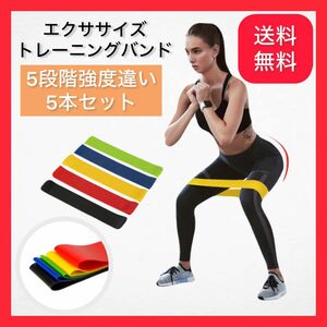 トレーニングバンド エクササイズバンド 5本セット 強度別 筋トレ ストレッチ