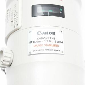 動作◎ Canon LENS EF 800mm F5.6 L IS USM 手ブレ補正 大口径 単焦点 超望遠 レンズ ハチゴロー / キヤノン EF フルサイズ対応 ※1 #8007の画像9