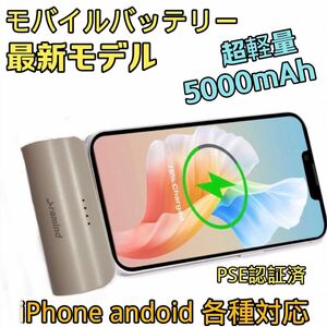 【新品セール】モバイルバッテリー5000mAh 超小型 急速充電 PSE認証済