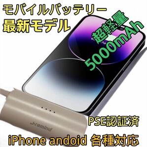 【新品セール】モバイルバッテリー5000mAh 超小型 急速充電 PSE認証済