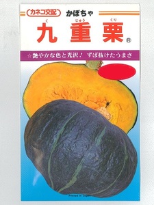 送料無料　九重栗　かぼちゃ　３粒