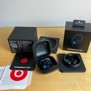 【送料無料】ジャンク　Beats by Dr.Dre Powerbeats Pro 左イヤホンのみ 左耳 片耳 L ワイヤレスイヤフォン　ケース　付属品あり　A2047