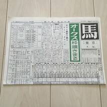 競馬新聞　馬　昭和45年　第31回 オークス　希少　レトロ　タマミ　スターウイング　ロンザラス　モンテオーカン_画像2