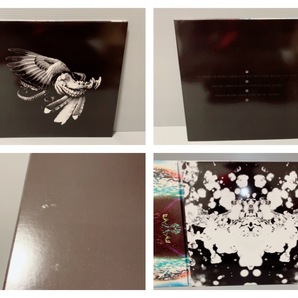 LINKIN PARK A Thousand Suns Fan Pack 2LP レコード korn slipknot LIMP BIZKIT Nu Metal リンキン パーク ア サウザンド サンズの画像9