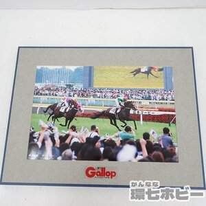 MO31◆当時物 平成13年 競馬 週刊ギャロップ 第68回 日本ダービー ジャングルポケット 写真 パネル/グッズ 額装 競走馬 ポスター 送:-/100